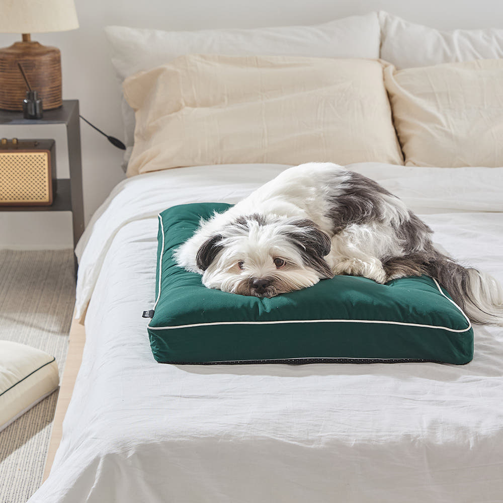 누보펫 포그닝베드 강아지방석