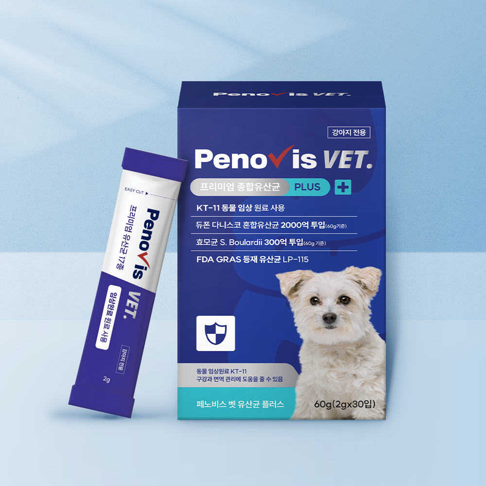 페노비스 강아지 종합 유산균