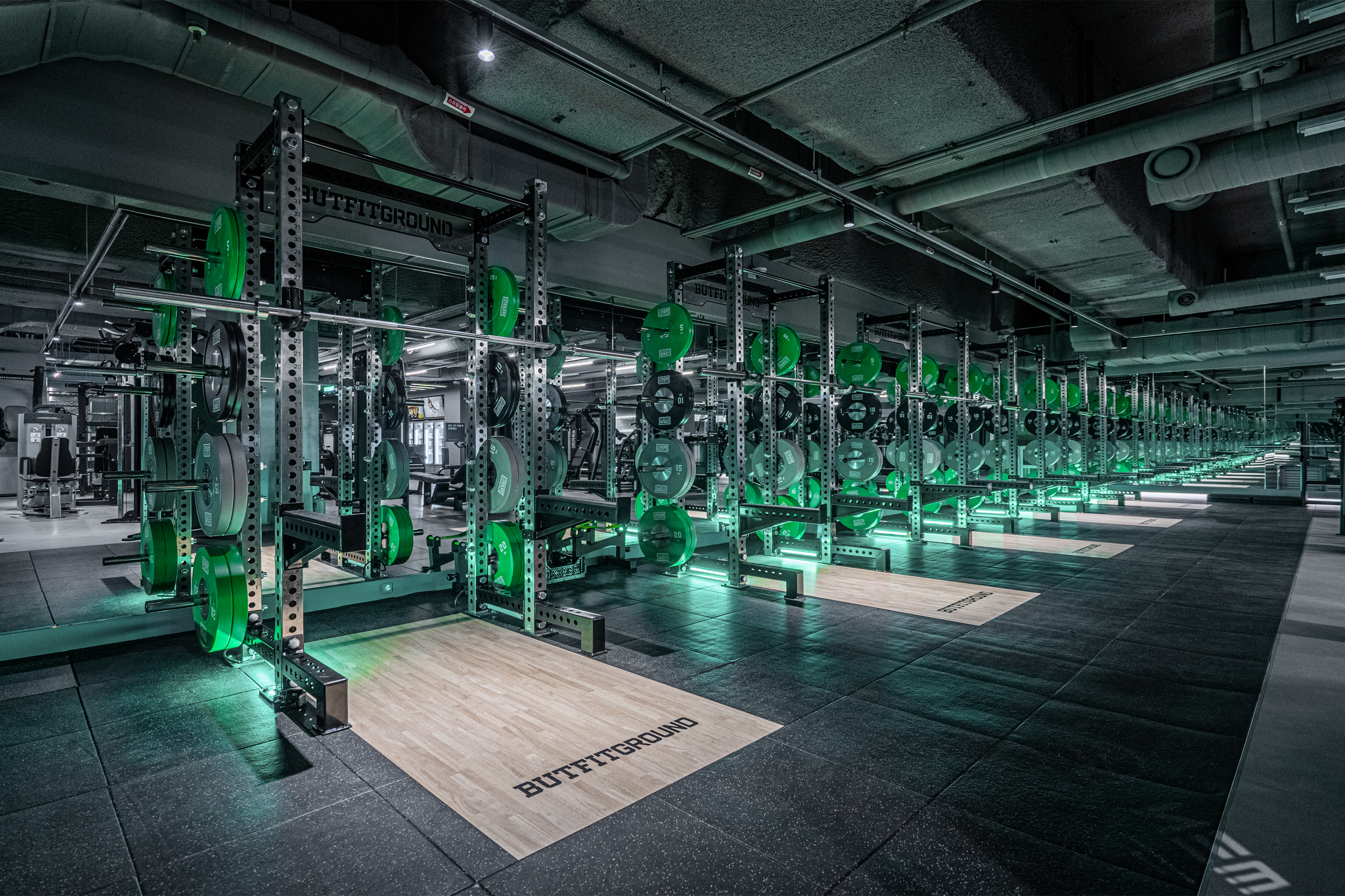 버핏그라운드  버핏그라운드 서울/경기