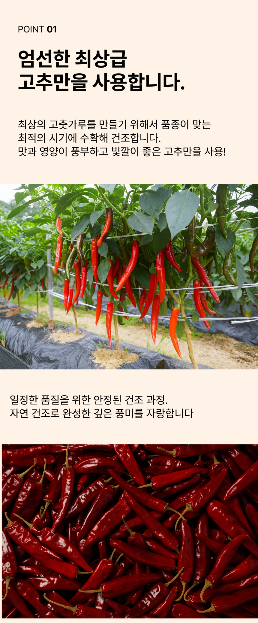 상세이미지_4