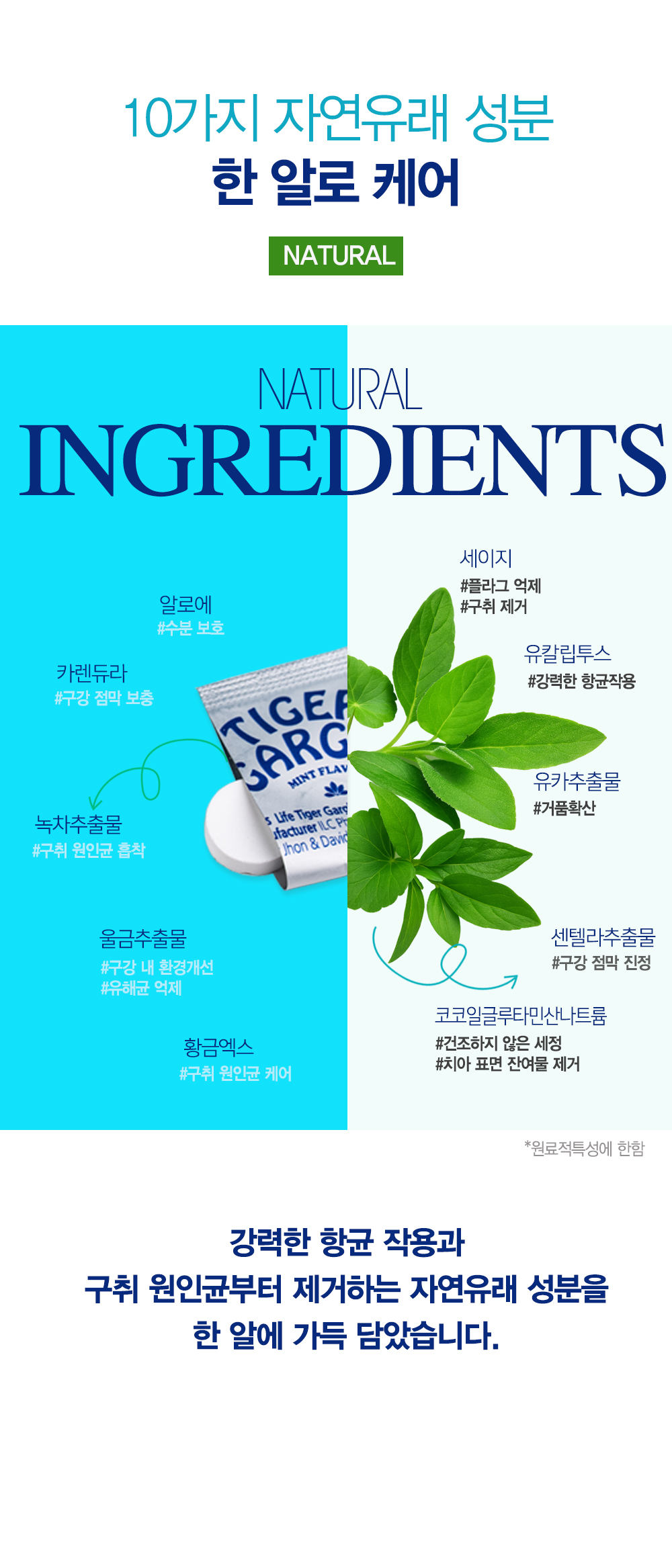 상세이미지_5