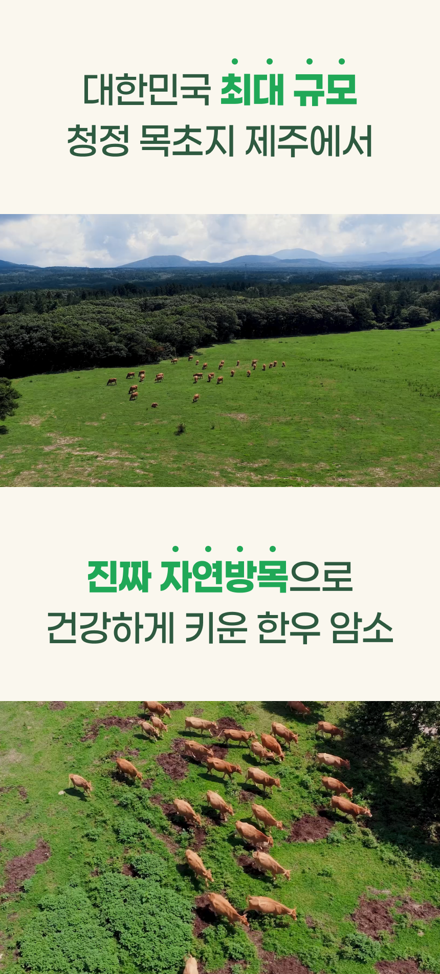 상세이미지_1