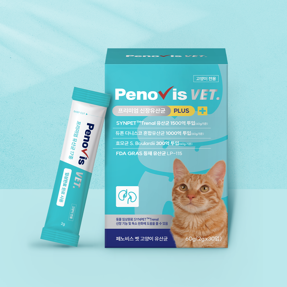 페노비스 고양이 신장 유산균