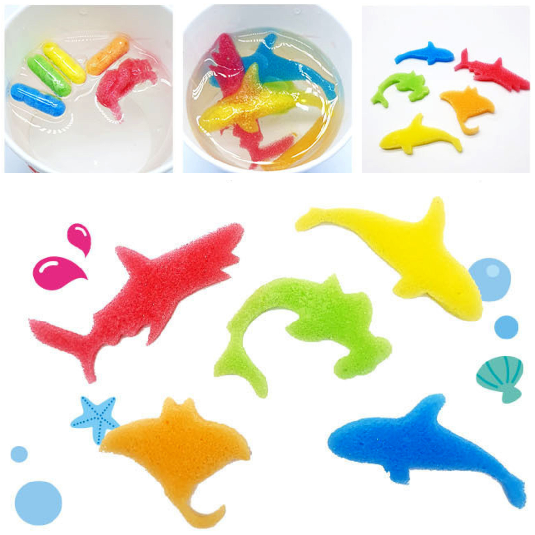 코렌트 그로잉캡슐 목욕놀이 그림놀이 동물스펀지 6종세트