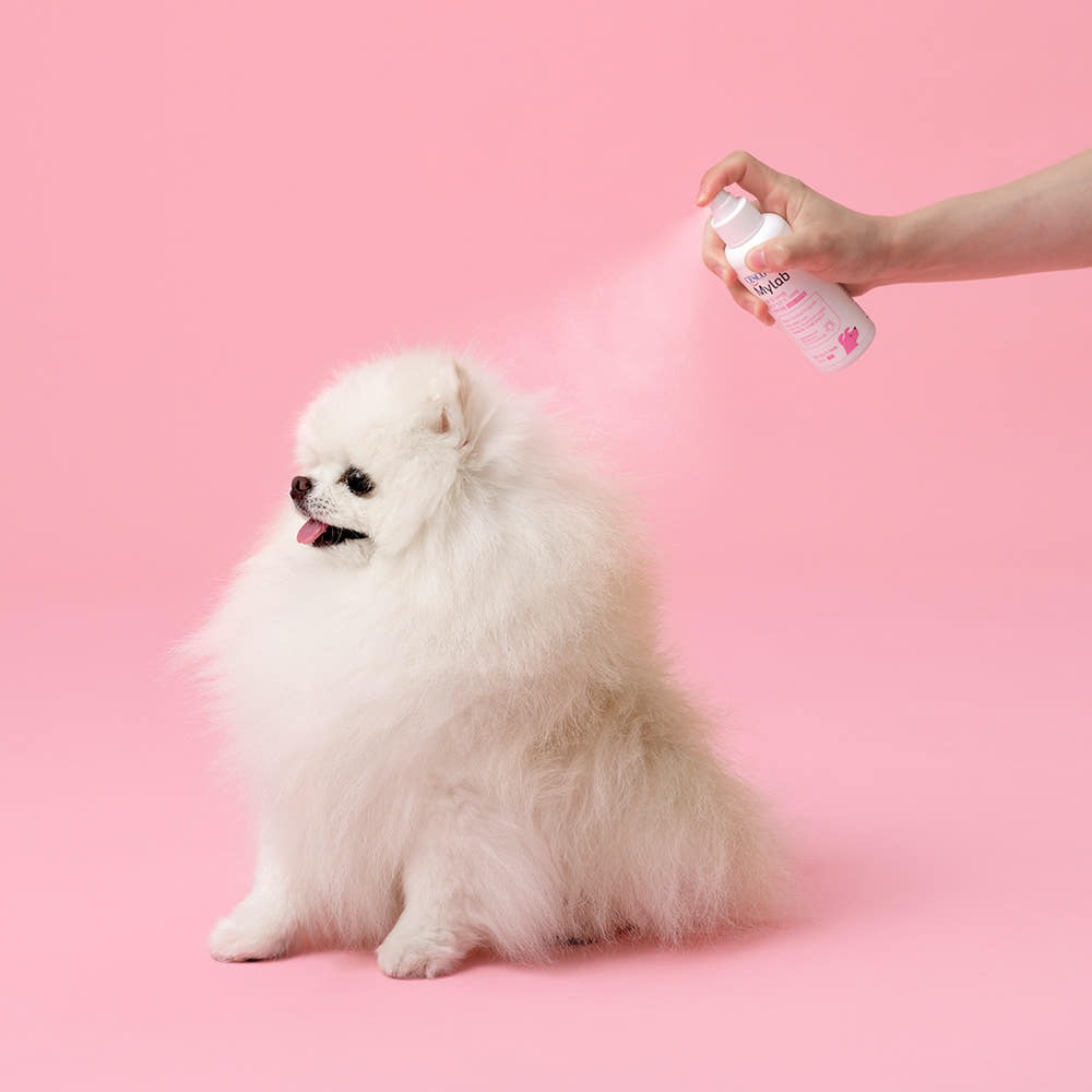 세스코 자동DM발송_마이랩 반려견용 모기/진드기 기피제 120ml (1-1차)